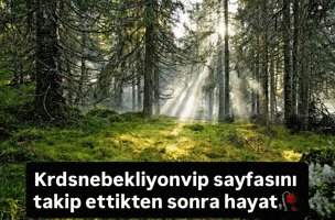 Krdsnebekliyonvip GIF