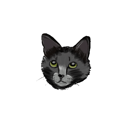 Cat Sticker