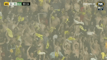 Celebrate In The Rain GIF by Hyundai A-League