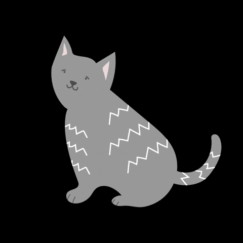 vieeitez cat illustration animal kitty GIF