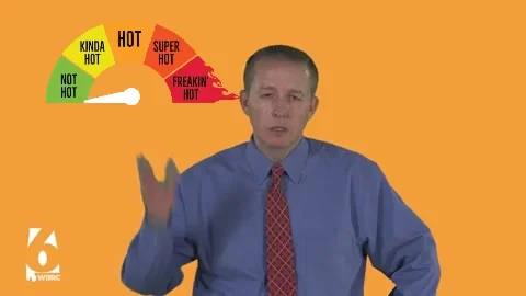 Fox 6 Summer GIF by WBRC FOX6 News