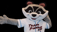 Rocket City Trash Pandas GIFs on GIPHY - Be Animated