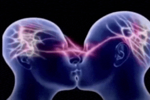 Brain To Brain GIF