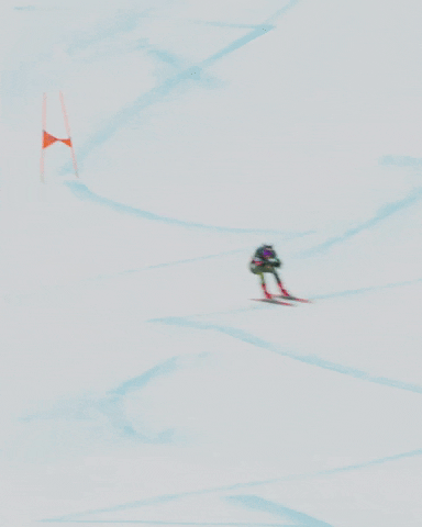Team Usa Sport GIF by U.S. Ski & Snowboard Team