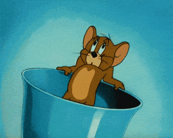 200.gif?cid=f0bdee70bxribvcwsln9vv20ownbx1uxe11pcveaiwudx6py&rid=200.gif&ct=g
