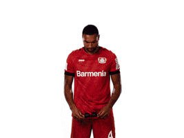 Bayer 04 Deal With It GIF by Bayer 04 Leverkusen