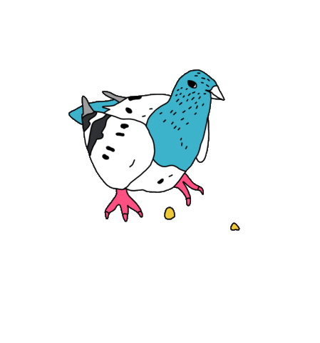Bird Sticker