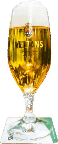 Beer Cheers Sticker by VELTINS