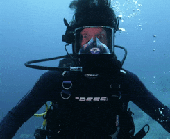 Discovery Snorkel GIF by Shark Week