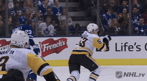 celebrate ice hockey GIF by NHL