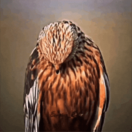 64Yuta GIF