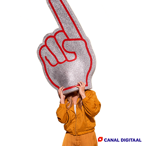 Soccer No GIF by Canal Digitaal