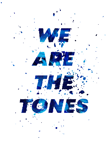 Tonecity Sticker