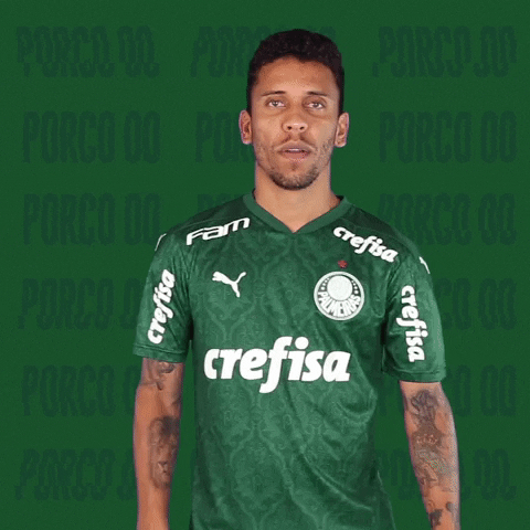 Marcos Rocha Puma GIF by SE Palmeiras
