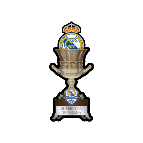 Real Madrid Trofeo Sticker by MadridistasNYC