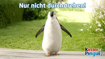 kinder_Pingui sweet chill relax penguin GIF