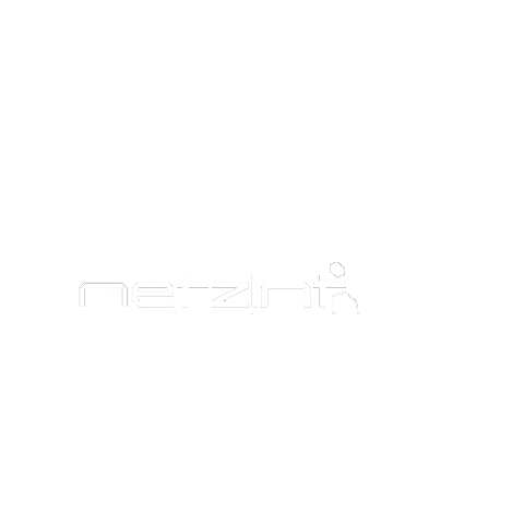 Netzint GmbH Sticker