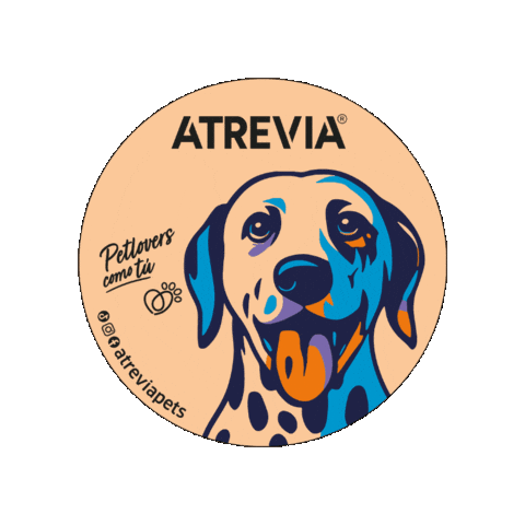 Cats Dogs Sticker by Pet Nutri