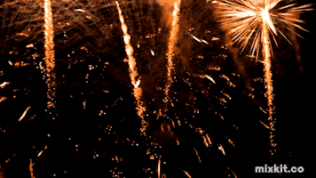Celebrate New Years GIF by Mixkit