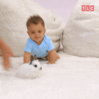 Baby Crawling Gifs Get The Best Gif On Giphy