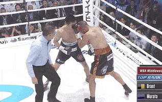 toprank fight boxing fighting espn GIF