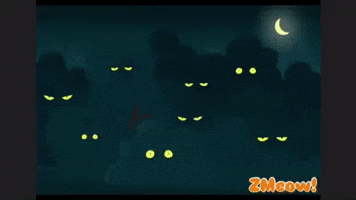 Suspicious Cat GIF by Insomnia Cats