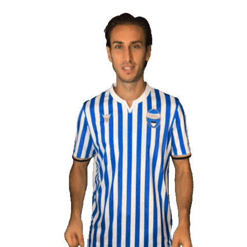 Serie A Goal Sticker by SPAL
