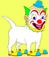 Dog Reaction GIF by Richie Brown