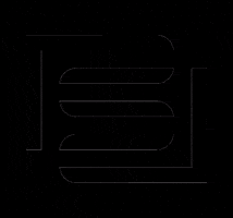 Stone Boutique GIF
