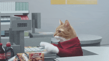 romy  cat working check out line
