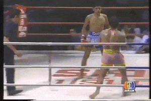 Kongtoranee GIF