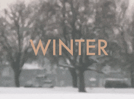 Snow Winter GIF