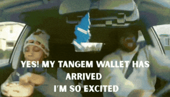 Cold Storage Crypto GIF by Tangem