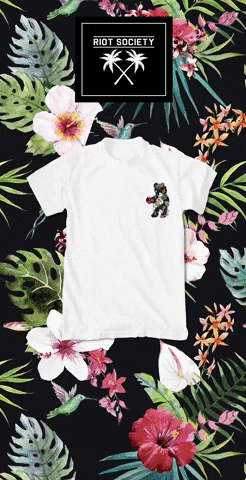 Flowering Palm Tree GIF by Riot Society