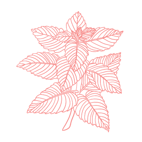 Watercolor Sticker