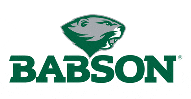 Babson 2024 GIF by Babson College