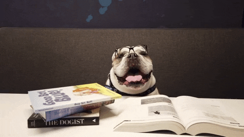 Studying Butler Basketball GIF by Butler University - Find & Share on GIPHY