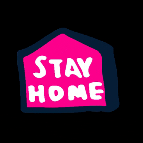 Art & Science home quarantine stay home stay GIF