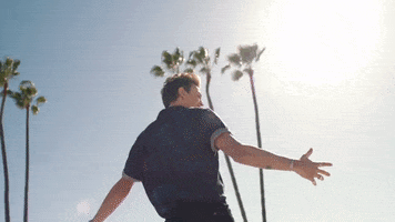 Palm Trees Sun GIF by Why Don't We