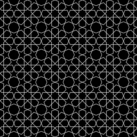 Black And White Lines GIF by xponentialdesign