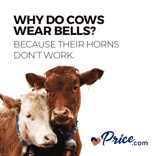 Horns GIFs Find & Share on GIPHY