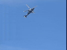 Tigre GIF