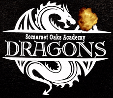 somersetoaks GIF