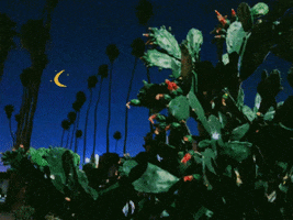 Los Angeles Trip GIF