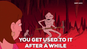 Used To It Yolo GIF by Adult Swim