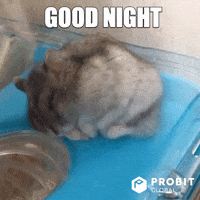 Sleepy Good Night GIF by ProBit Global