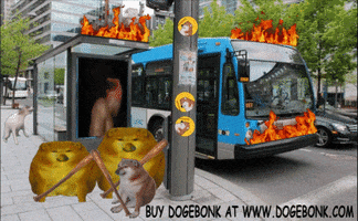 Burning Filthy Frank GIF by DogeBONK