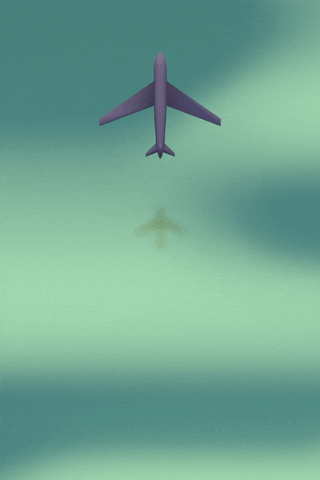aeroplane GIF
