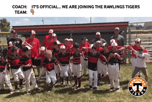 Happy Dance Party GIF by Rawlings Tigers