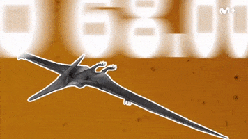 Cero GIF by Movistar Plus+
